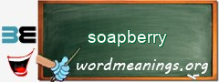 WordMeaning blackboard for soapberry